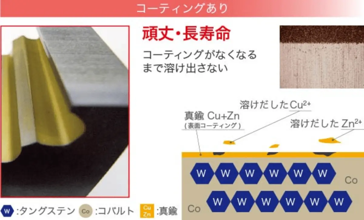 コーディングあり